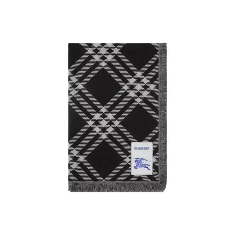 Burberry Checked Scarf-1
