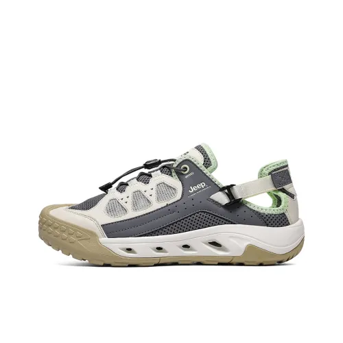 FILA Sneaker bassa 'Disruptor M' grigio