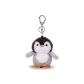 Gray Little Penguin
