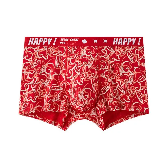 LUYOUYE Underpants Men's 2 Pack-12