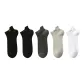 5 Pack (1 Each of 5 Colors)