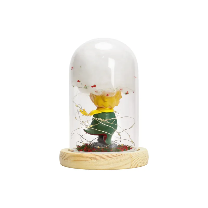 POP MART Hirono X Le Petit Prince Series The Little Prince Figure-4