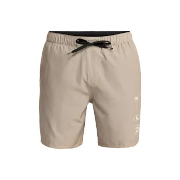 Quiksilver Sports Shorts Men's Khaki