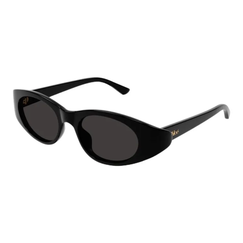 Chloe Acetate Cat Eye Sunglasses Women's Black-0