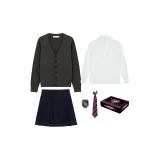 (Gift Box Set) Dark Gray Sweater+Embroidery Badge+Long-Sleeved White Shirt+Black Pleated Skirt+Red and Blue Striped Tie
