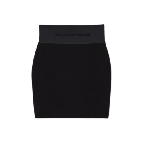 Alexander Wang FW24 Casual Short Skirts Women's Black