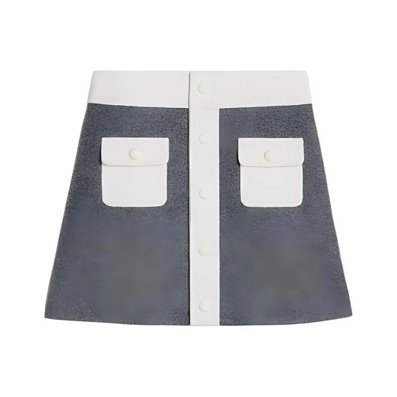 CELINE FW24 Casual Short Skirts Women's Medium Gray-0
