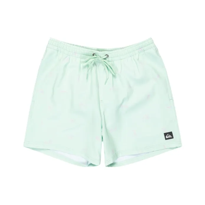 Quiksilver Swimming Shorts Men's Light Blue-0