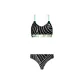 Dynamic Stripes