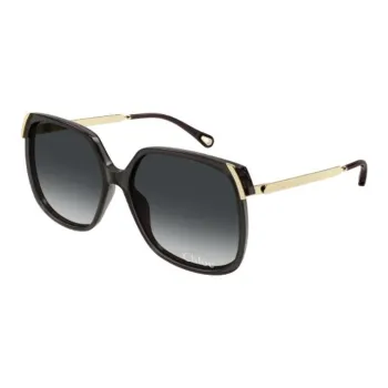 Chloe Acetate Square Sunglasses Unisex Black