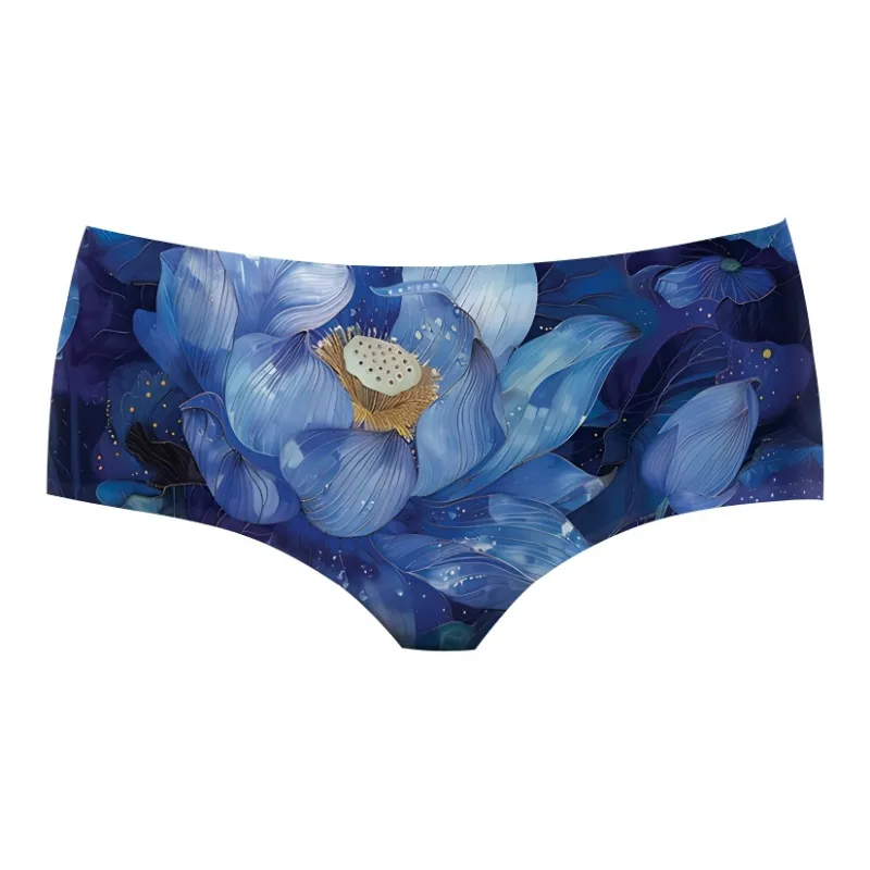 ROBINHOOD Underpants Women's 1 Pack-0
