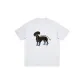 White Heather Gray