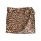 Leopard/Leopard Print