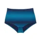 Blue Ombre/Blue Gradient