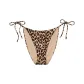 Leopard/Leopard Print