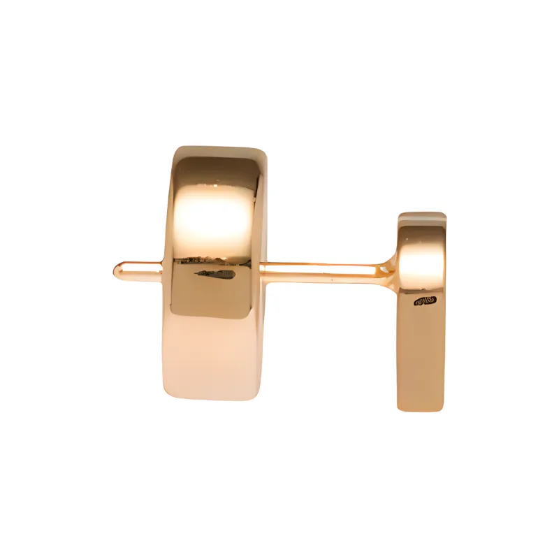 MIU MIU Logo plaque Stud Earrings-1