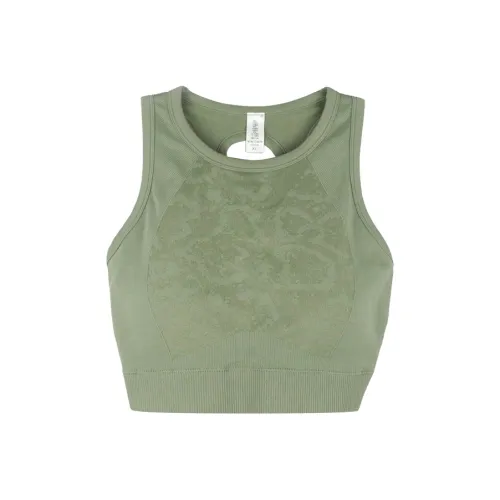 Rexing Underwear Women's Matcha