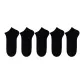 Tail Black 5 Pack