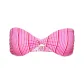 PINK STRIPE/Pink Stripes