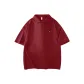 Burgundy (Puppy)