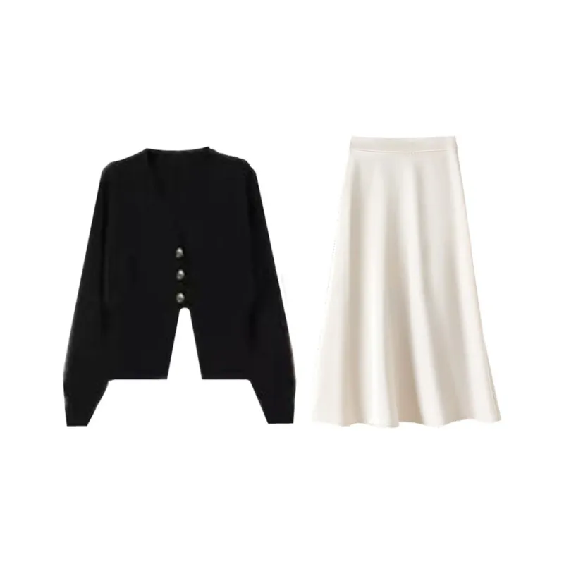 Lookinto Two Piece Skirt Sets Women's-0
