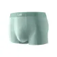 Celadon Green