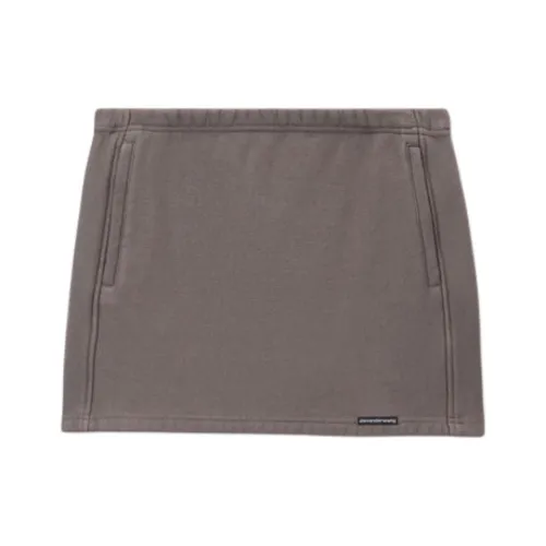 Alexander Wang FW24 Casual Short Skirts Women's Gray