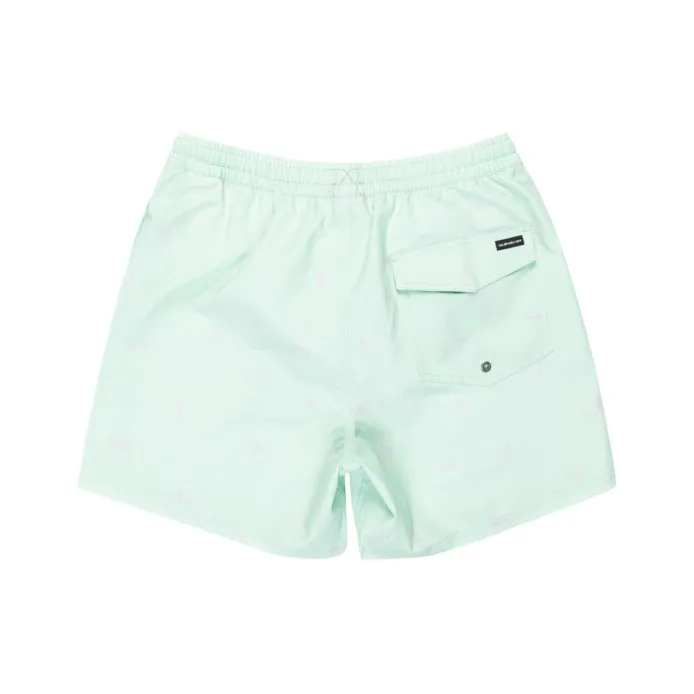 Quiksilver Swimming Shorts Men's Light Blue-1