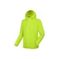 Fruit Green