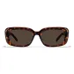 Leopard Print Frame with Transparent Tea Brown Lens