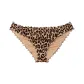 Leopard/Leopard Print
