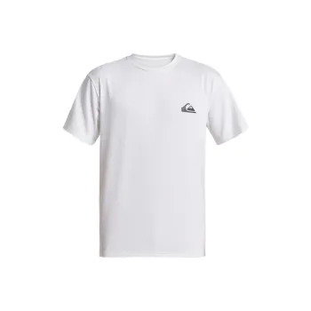 Quiksilver Everyday Surf T Shirt Men's White