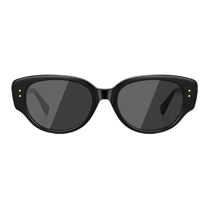 BERTHA Plate Frame TR/Memory Plastic Cat Eye Sunglasses Unisex-4