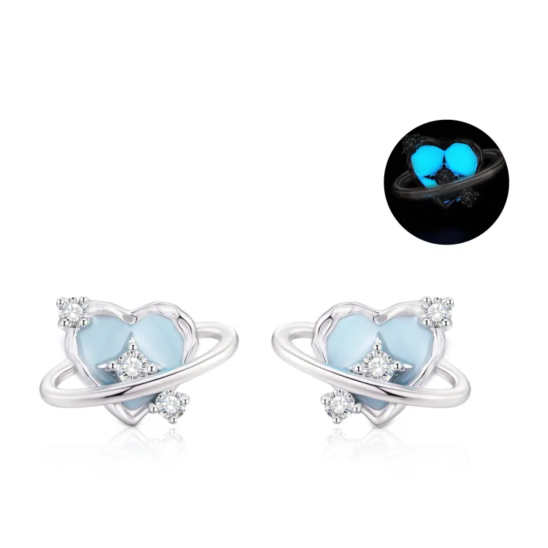 ZSY S925 Silver Stud Earrings Women's-0
