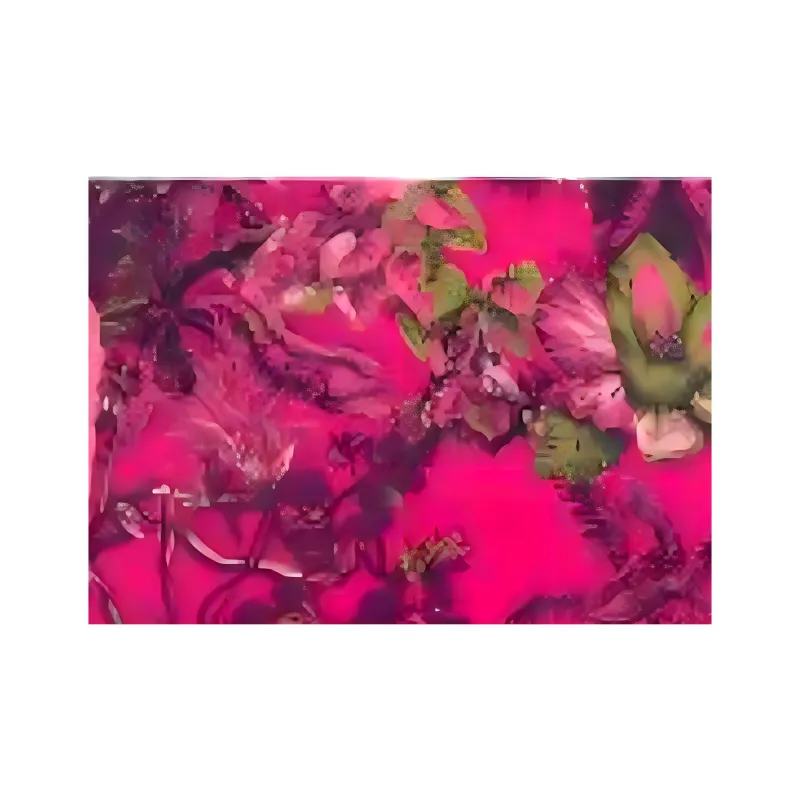 DIOR Swimming Shorts Women's Pink-2