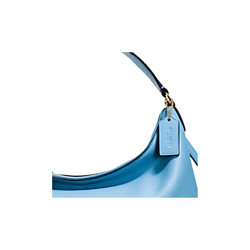 COACH East/West Leather One Shoulder Crossbody Handbag Crossbody Bag Crescent Bag Large Size Women's Sky Blue-2