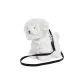 Bichon Frise White