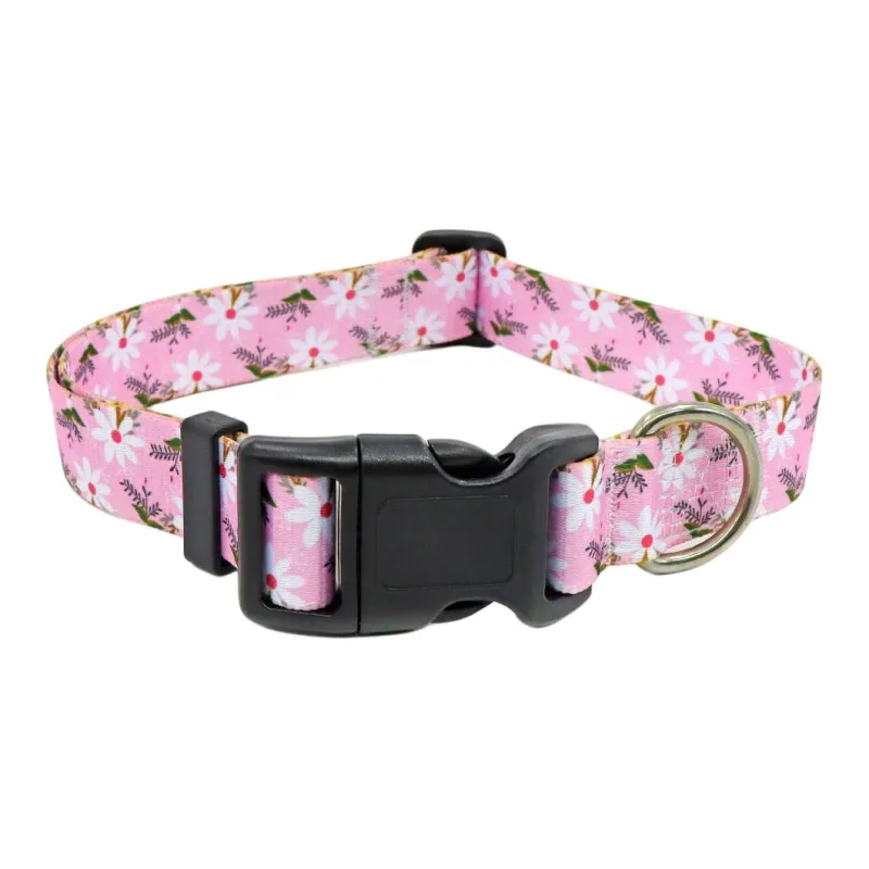 BRU NA BOINNE Dog / Cat Collars-12