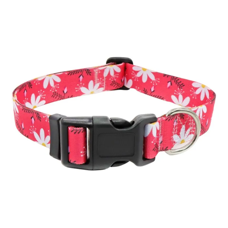BRU NA BOINNE Dog / Cat Collars-13