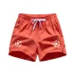 Watermelon Red