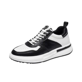 A Fairy Tale Of A Pair Of Shoes Low Top Skateboard Shoes Men's Black