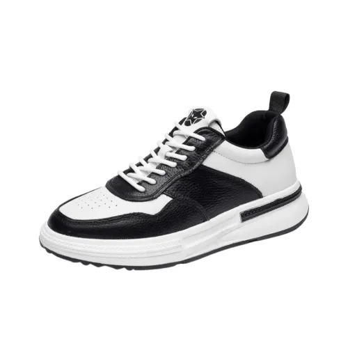 A Fairy Tale Of A Pair Of Shoes Low Top Skateboard Shoes Men's Black