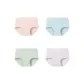 Elegant Pink+Elegant Blue+Light Pea Green+Cherry Blossom Purple