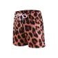 Leopard Print