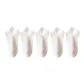 5 Pack[White+White+White+White+White]