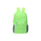 Neon Green