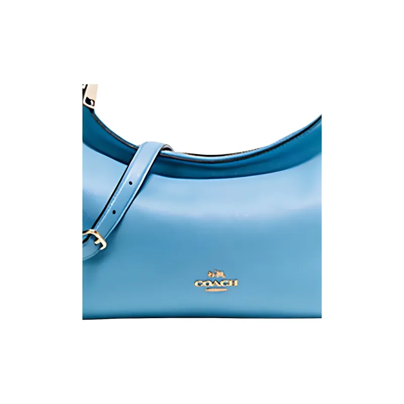 COACH East/West Leather One Shoulder Crossbody Handbag Crossbody Bag Crescent Bag Large Size Women's Sky Blue-1