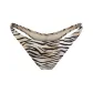 CHAMPAGNE TIGER PRINT/Champagne Tiger Print