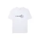 Ivory White