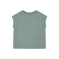 Smoke Gray